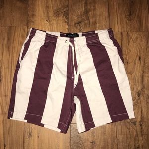 Pacsun Striped Volley Shorts